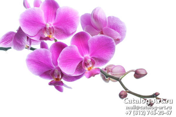 картинки для фотопечати на потолках, идеи, фото, образцы - Потолки с фотопечатью - Розовые орхидеи 11